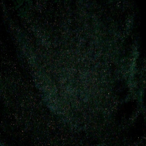 Maurices Beautiful Green Sweater with lace and sparkle - Picture 3 of 7